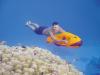 seabob