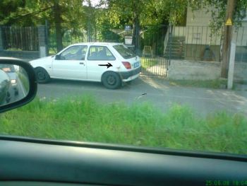 fiesta